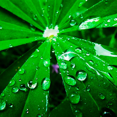 网站攻击工具手机版