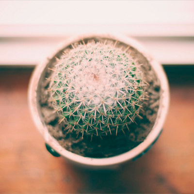 网页DDOS攻击平台