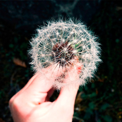 手机攻击器APP下载